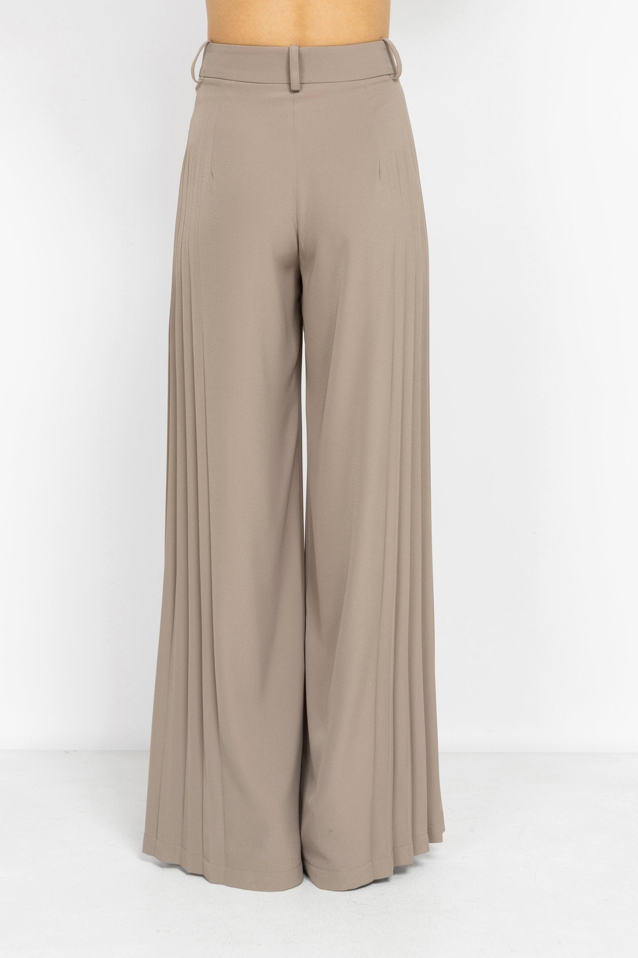 Long Pleated Trousers in Mocha