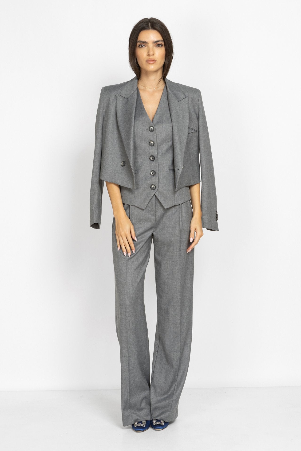 Wide-Leg Pleated Trousers in Grey