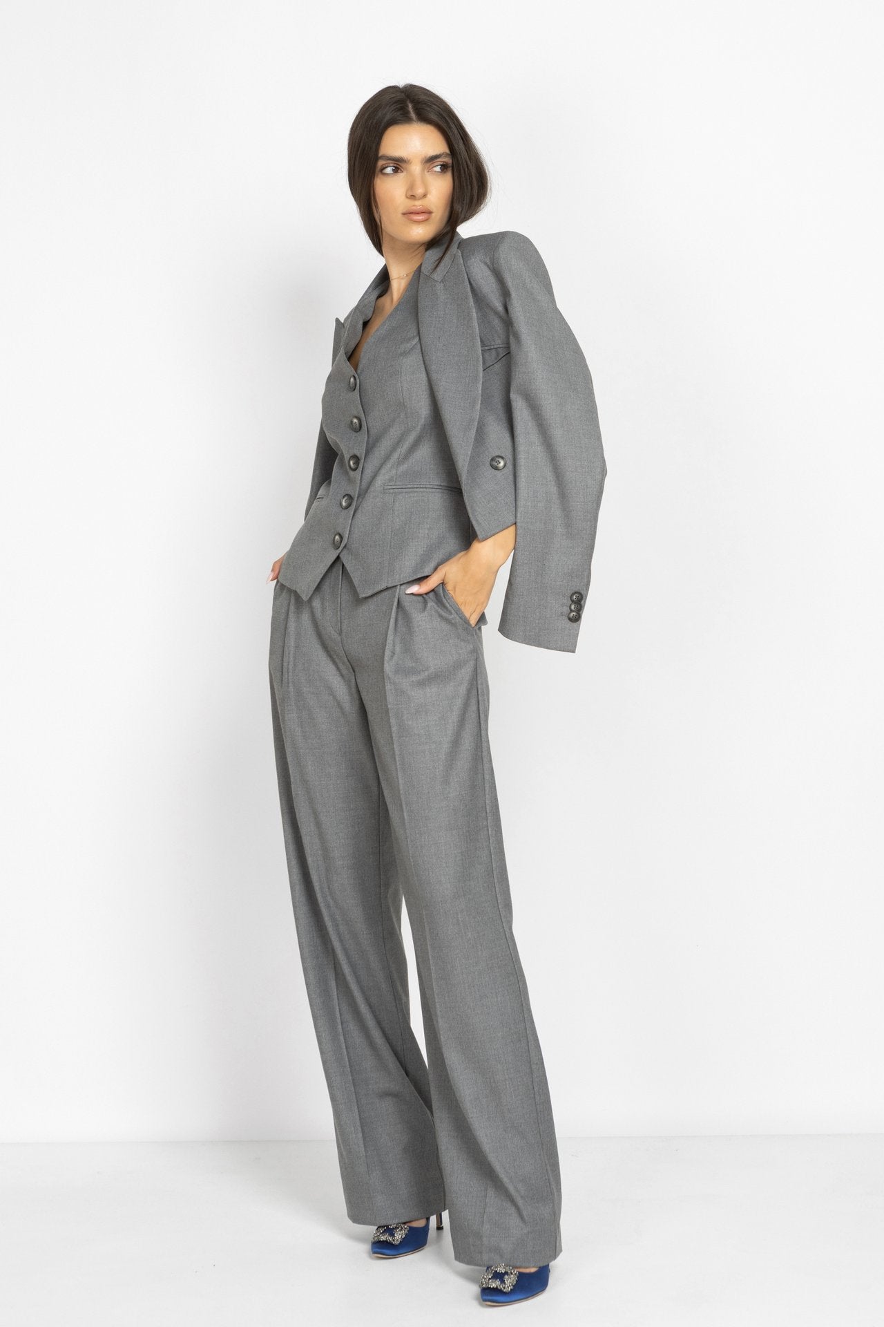 Wide-Leg Pleated Trousers in Grey