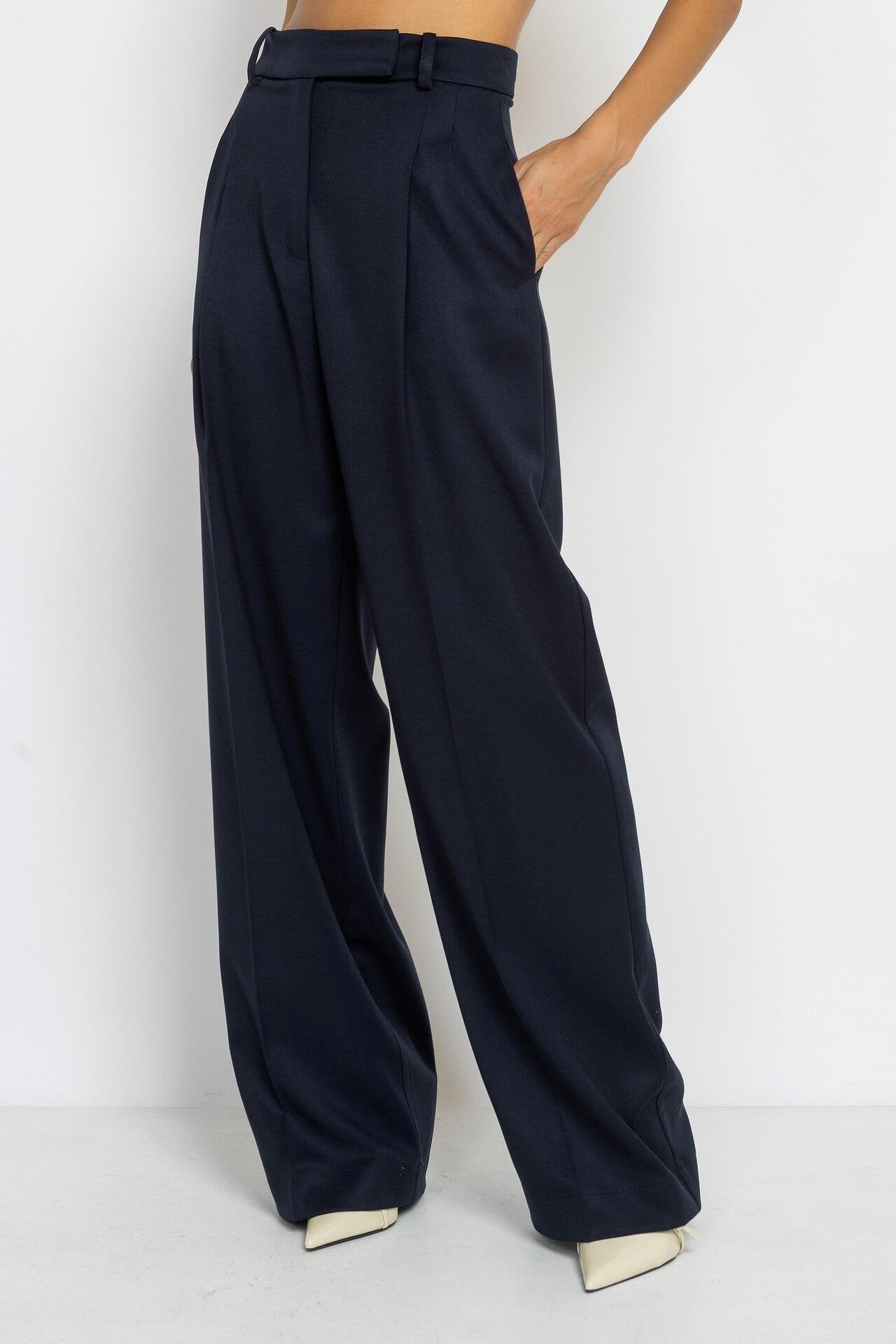 Wide-Leg Pleated Trousers in Blue