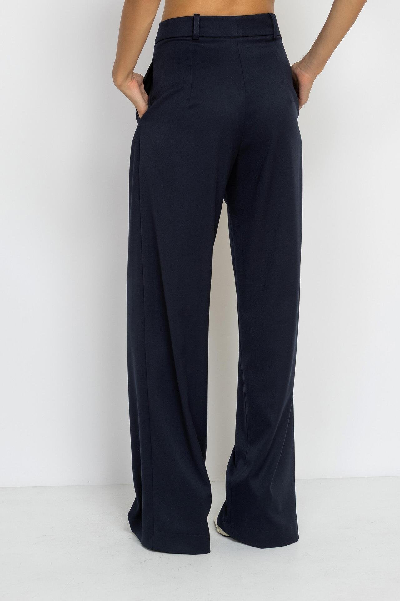 Wide-Leg Pleated Trousers in Blue